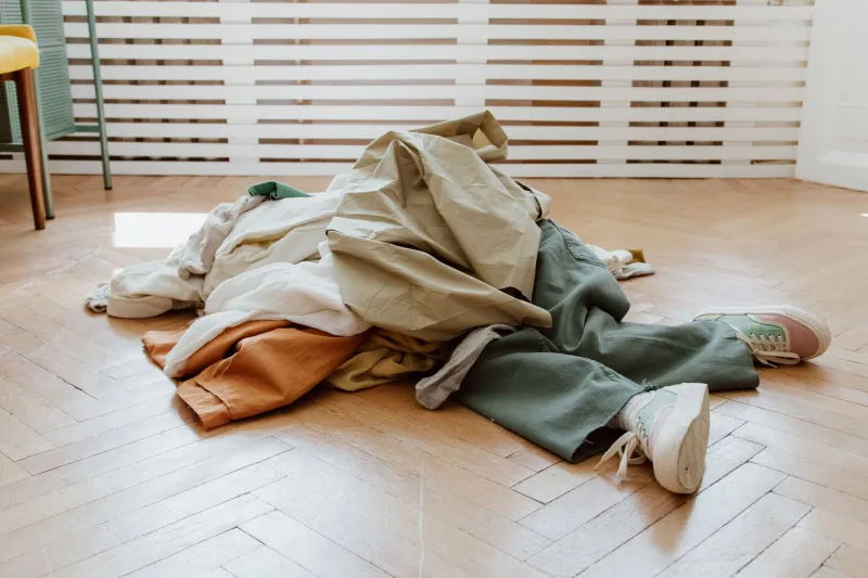 Taxonomy of the Laundry Pile Curator: A Field Guide to People Who Have Rebranded Not Doing Chores as a Lifestyle